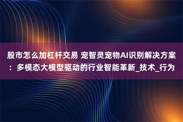 股市怎么加杠杆交易 宠智灵宠物AI识别解决方案：多模态大模型驱动的行业智能革新_技术_行为